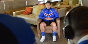 torreira